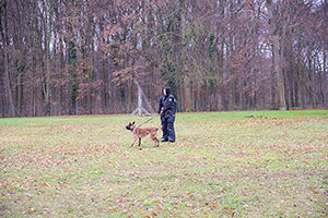 Zentrales Dienshundwesen Niedersachsen