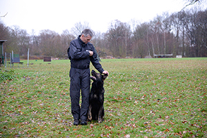 Zentrales Dienshundwesen Niedersachsen