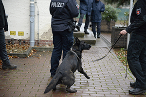 Zentrales Dienshundwesen Niedersachsen