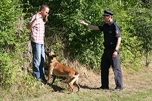 Zentrales Dienshundwesen Niedersachsen